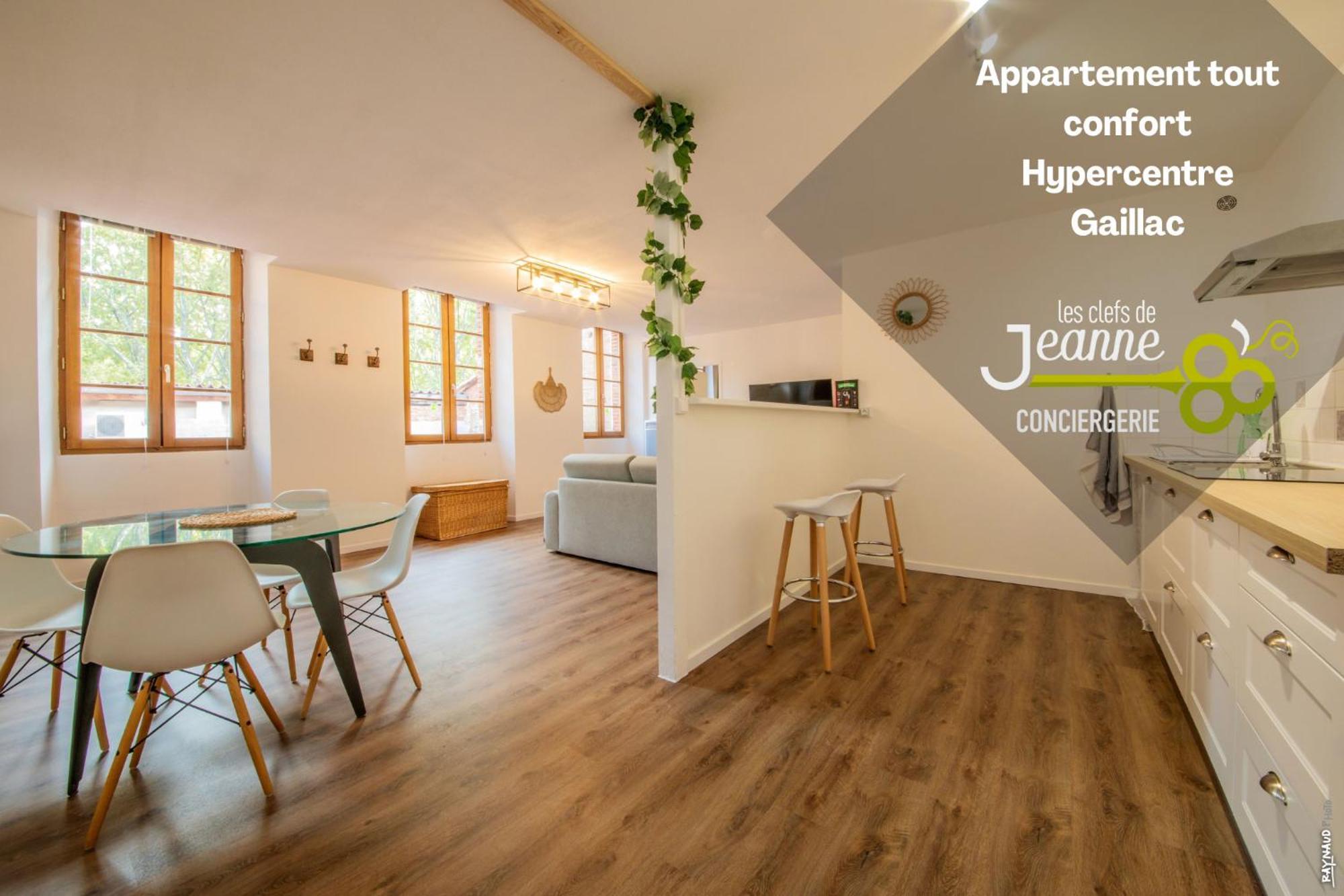 Appartement Tout Confort - Hypercentre - 58M2 - Gaillac Zewnętrze zdjęcie